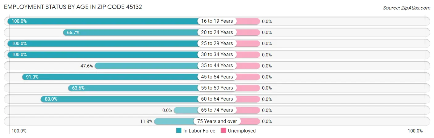 Employment Status by Age in Zip Code 45132