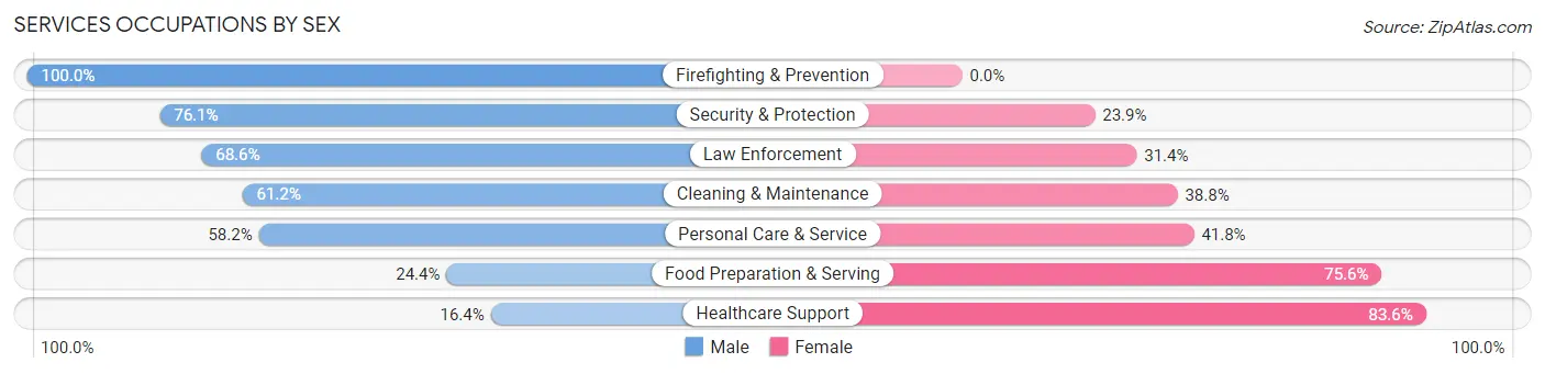 Services Occupations by Sex in Zip Code 45133