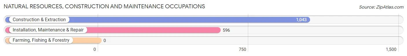 Natural Resources, Construction and Maintenance Occupations in Zip Code 45140