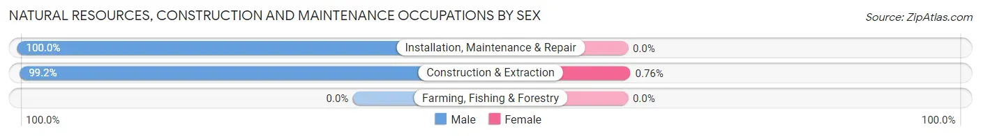 Natural Resources, Construction and Maintenance Occupations by Sex in Zip Code 45157