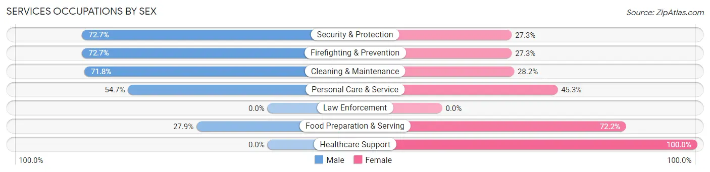 Services Occupations by Sex in Zip Code 45167