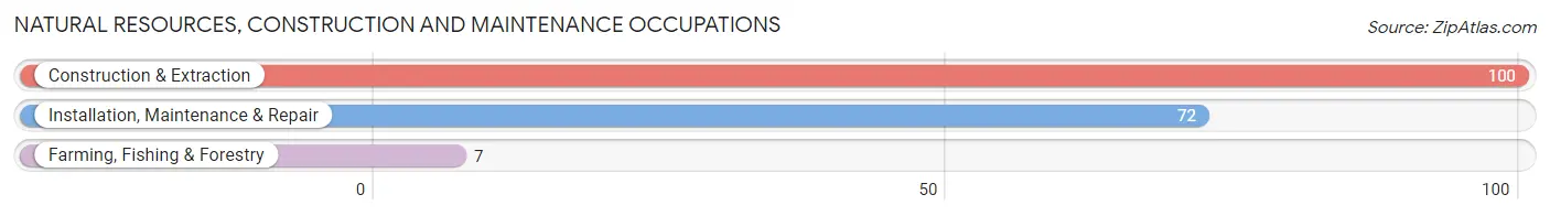 Natural Resources, Construction and Maintenance Occupations in Zip Code 45169