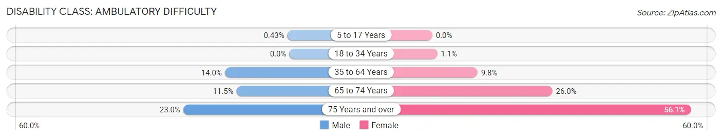 Disability in Zip Code 45171: <span>Ambulatory Difficulty</span>