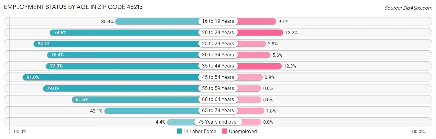 Employment Status by Age in Zip Code 45213