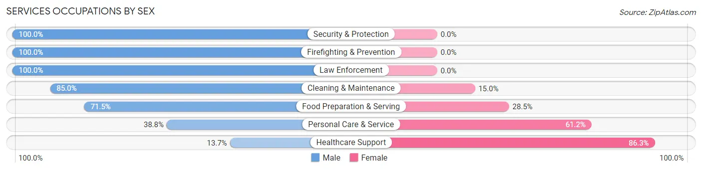 Services Occupations by Sex in Zip Code 45213