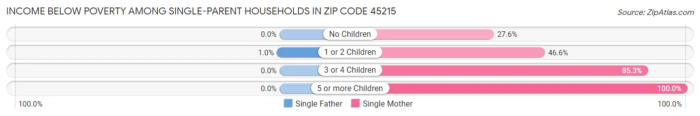Income Below Poverty Among Single-Parent Households in Zip Code 45215