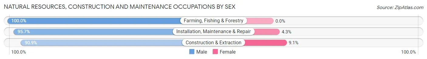 Natural Resources, Construction and Maintenance Occupations by Sex in Zip Code 45215