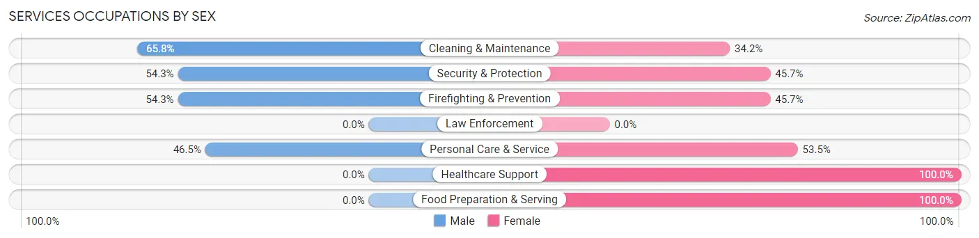 Services Occupations by Sex in Zip Code 45252