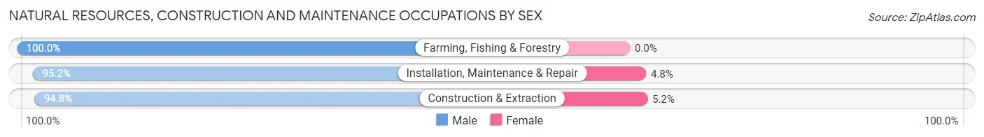 Natural Resources, Construction and Maintenance Occupations by Sex in Zip Code 45304