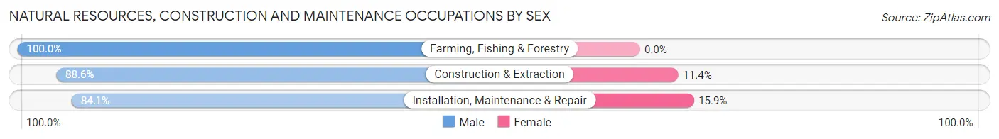 Natural Resources, Construction and Maintenance Occupations by Sex in Zip Code 45314