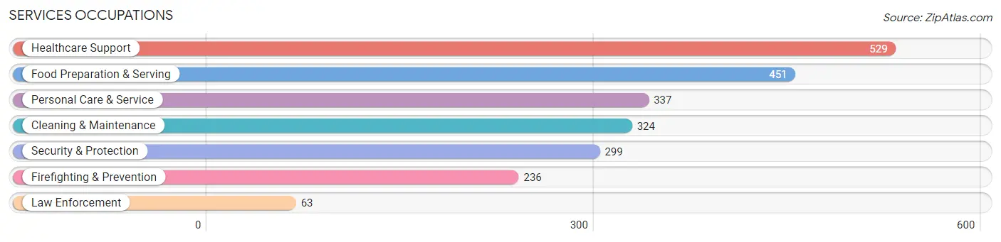 Services Occupations in Zip Code 45322