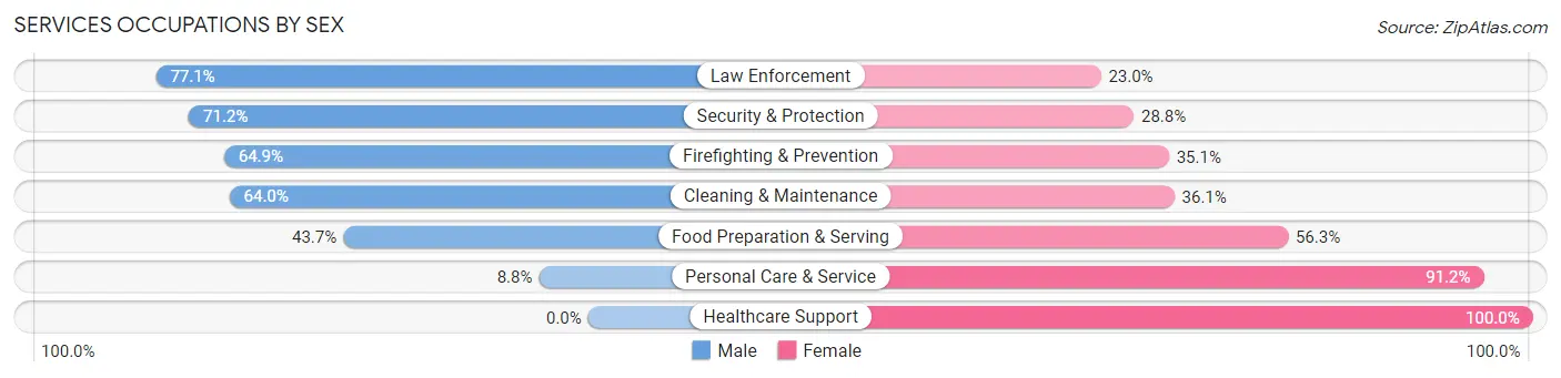 Services Occupations by Sex in Zip Code 45335