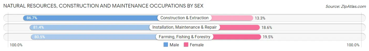 Natural Resources, Construction and Maintenance Occupations by Sex in Zip Code 45338