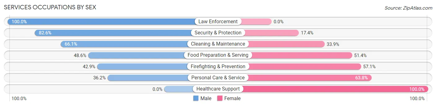 Services Occupations by Sex in Zip Code 45338