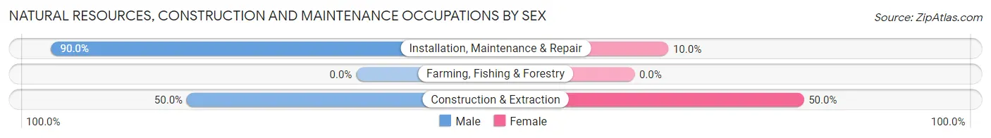 Natural Resources, Construction and Maintenance Occupations by Sex in Zip Code 45372