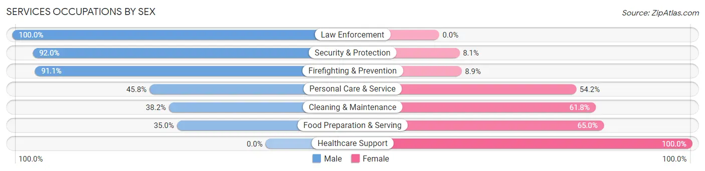 Services Occupations by Sex in Zip Code 45380