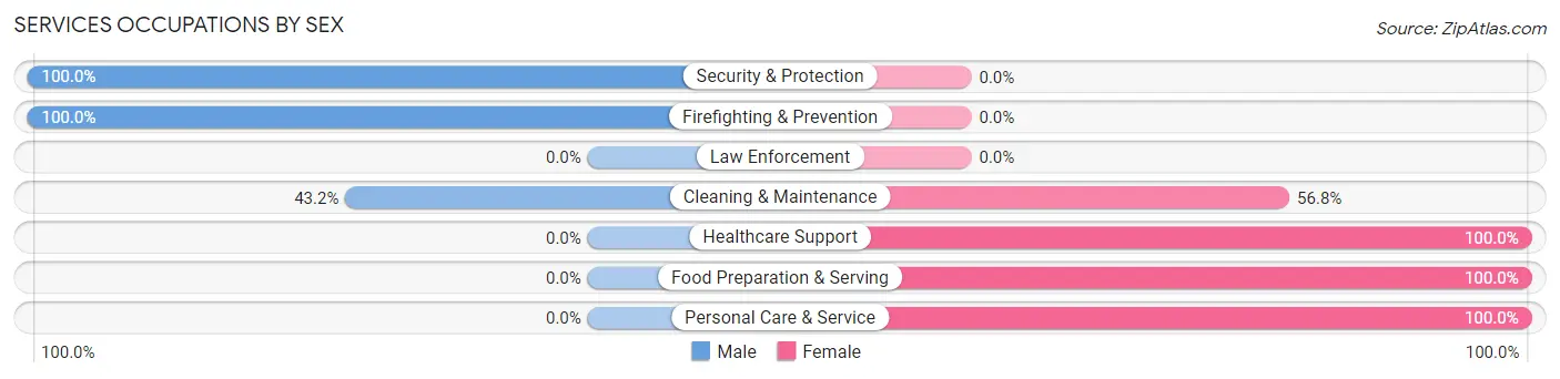 Services Occupations by Sex in Zip Code 45382