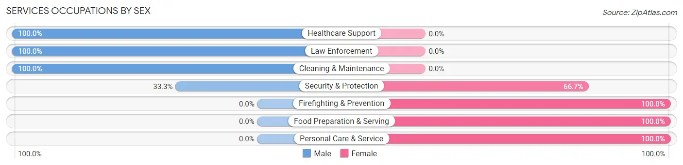 Services Occupations by Sex in Zip Code 45389