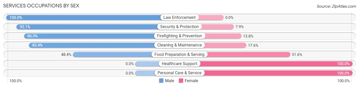 Services Occupations by Sex in Zip Code 45419