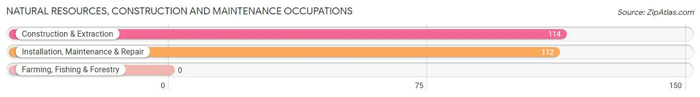 Natural Resources, Construction and Maintenance Occupations in Zip Code 45434