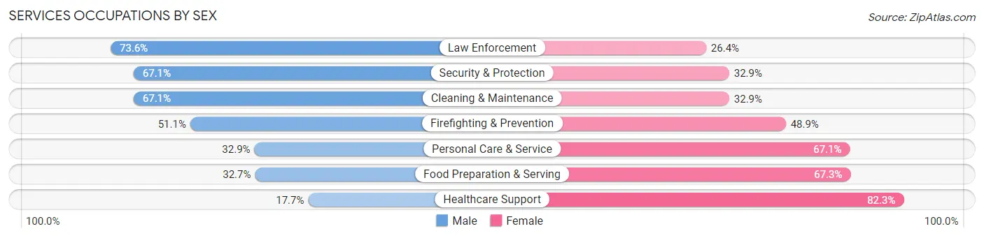Services Occupations by Sex in Zip Code 45503