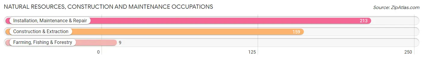 Natural Resources, Construction and Maintenance Occupations in Zip Code 45504