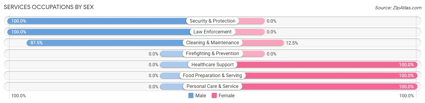 Services Occupations by Sex in Zip Code 45613