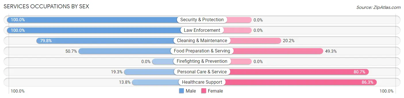 Services Occupations by Sex in Zip Code 45619