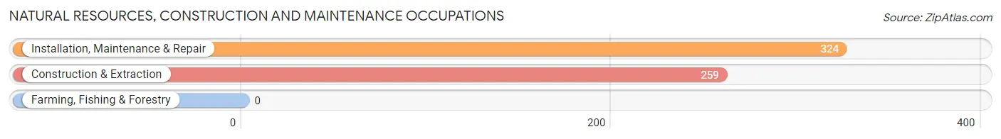 Natural Resources, Construction and Maintenance Occupations in Zip Code 45648