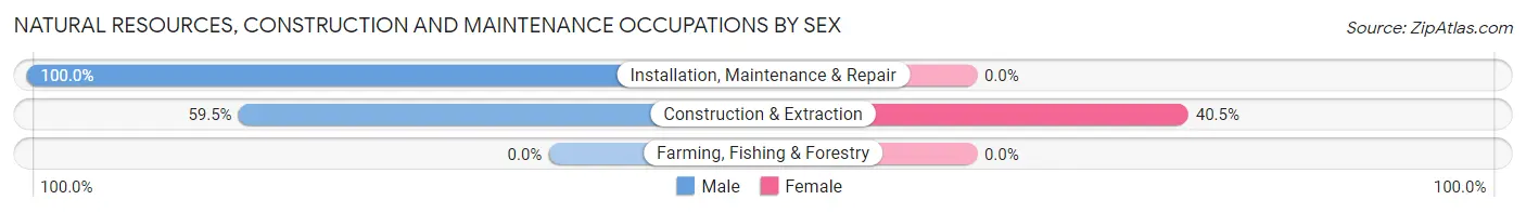 Natural Resources, Construction and Maintenance Occupations by Sex in Zip Code 45650