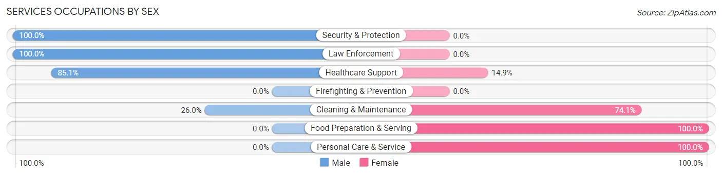 Services Occupations by Sex in Zip Code 45653
