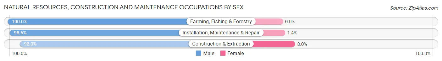 Natural Resources, Construction and Maintenance Occupations by Sex in Zip Code 45660