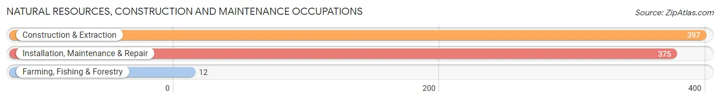 Natural Resources, Construction and Maintenance Occupations in Zip Code 45662