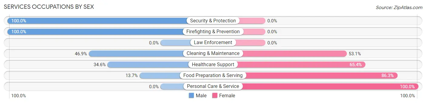 Services Occupations by Sex in Zip Code 45663