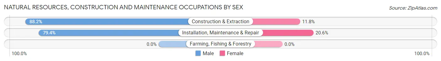 Natural Resources, Construction and Maintenance Occupations by Sex in Zip Code 45679