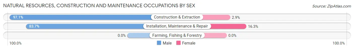 Natural Resources, Construction and Maintenance Occupations by Sex in Zip Code 45692