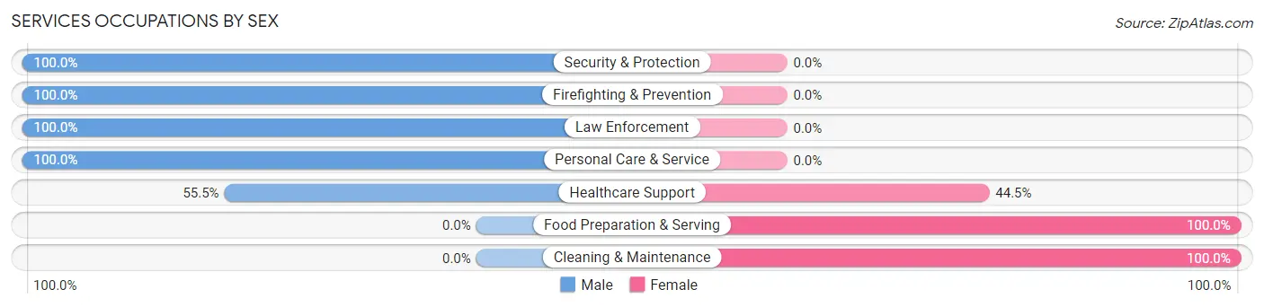Services Occupations by Sex in Zip Code 45742