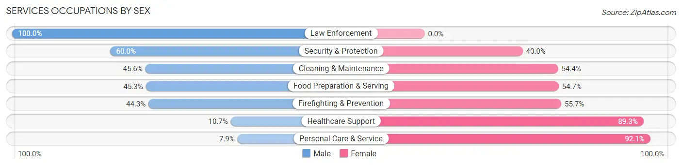 Services Occupations by Sex in Zip Code 45804