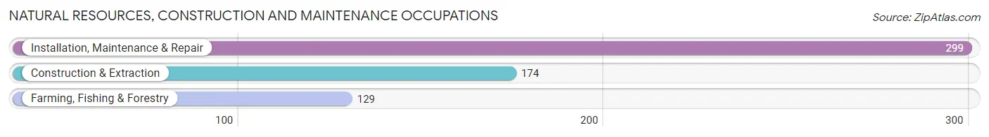 Natural Resources, Construction and Maintenance Occupations in Zip Code 45833