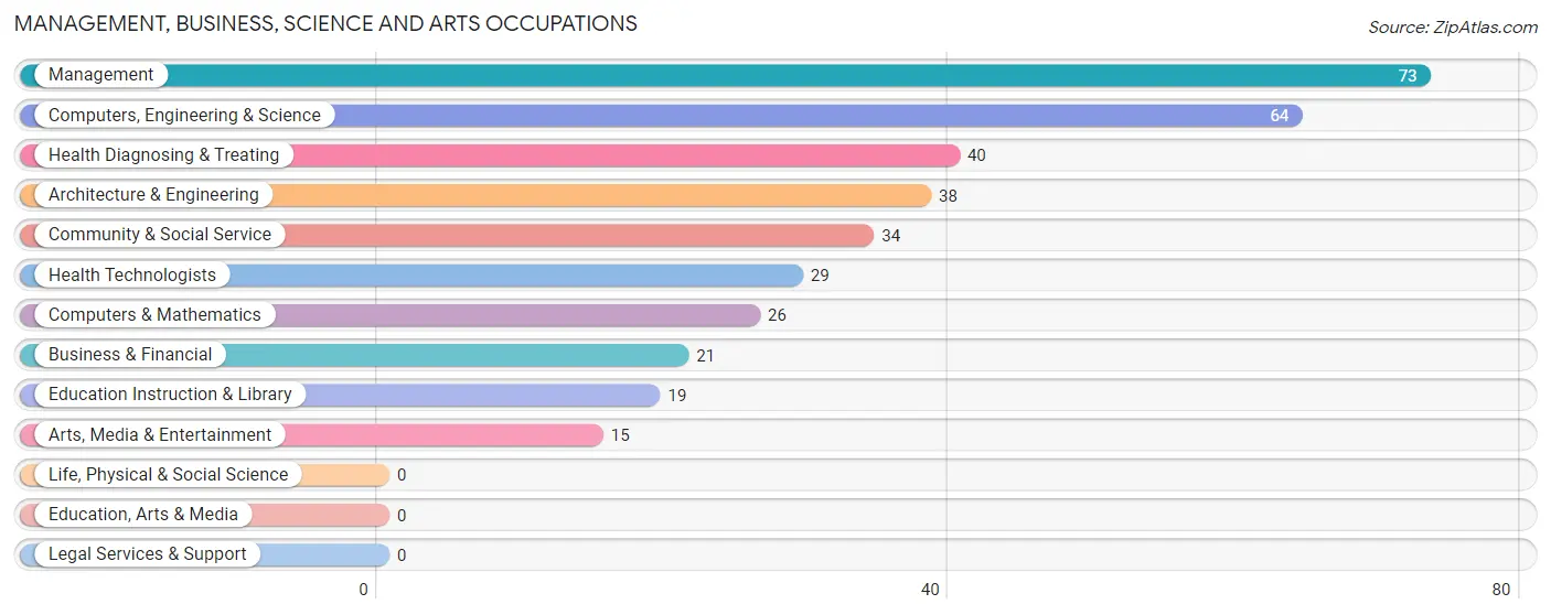 Management, Business, Science and Arts Occupations in Zip Code 45841