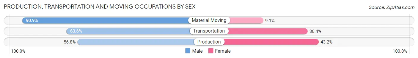 Production, Transportation and Moving Occupations by Sex in Zip Code 45863