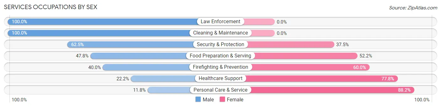 Services Occupations by Sex in Zip Code 45863