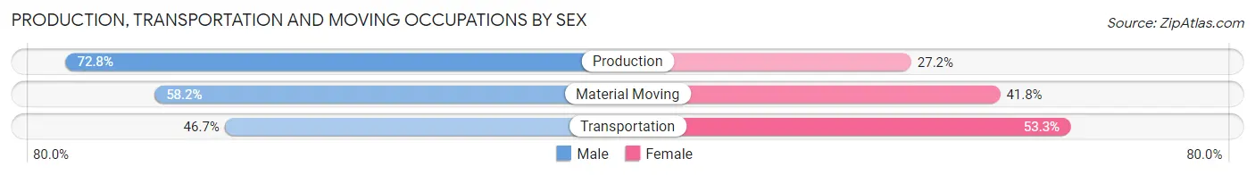 Production, Transportation and Moving Occupations by Sex in Zip Code 45869