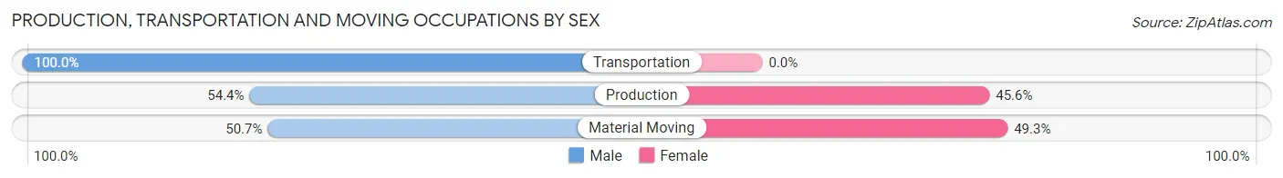 Production, Transportation and Moving Occupations by Sex in Zip Code 45874