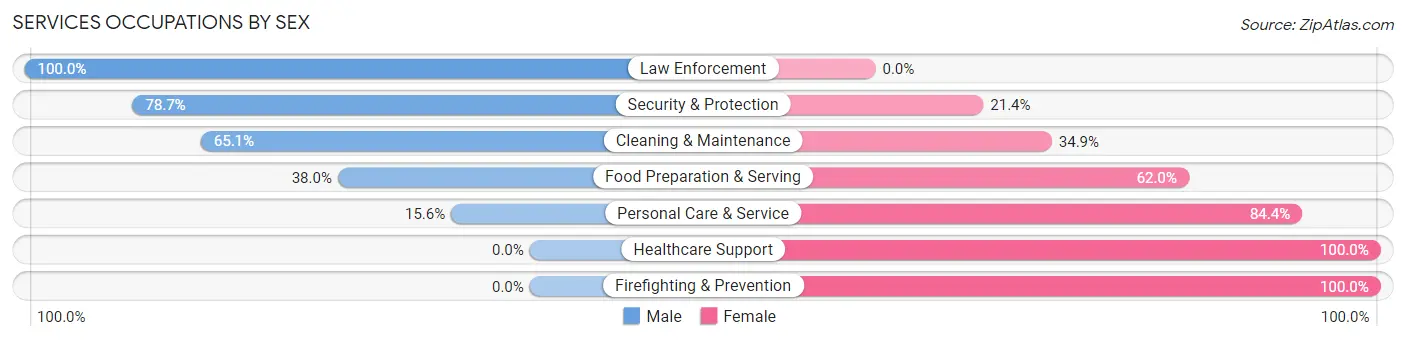 Services Occupations by Sex in Zip Code 45875