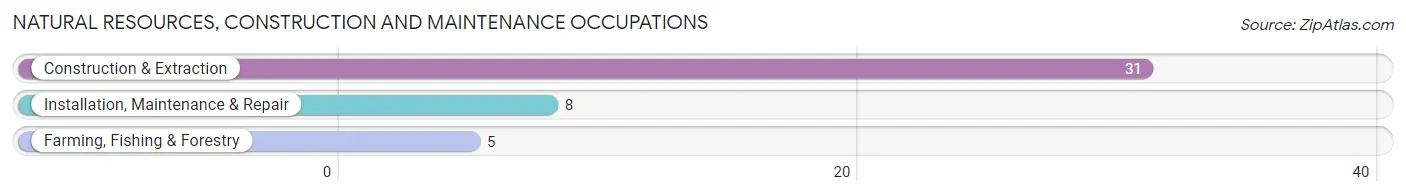 Natural Resources, Construction and Maintenance Occupations in Zip Code 45876