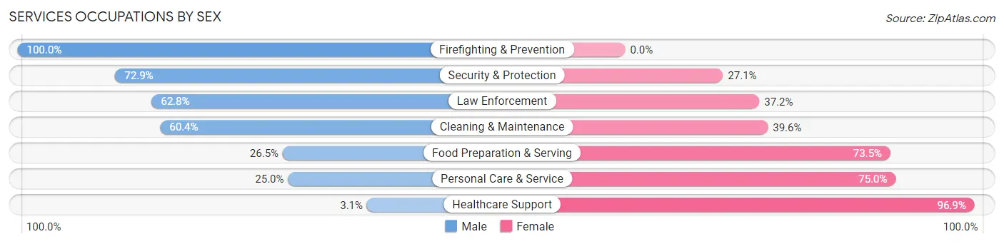 Services Occupations by Sex in Zip Code 46001