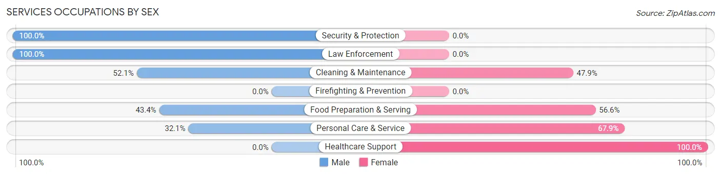 Services Occupations by Sex in Zip Code 46030