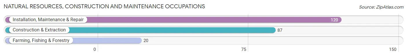 Natural Resources, Construction and Maintenance Occupations in Zip Code 46031