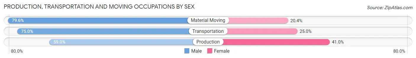 Production, Transportation and Moving Occupations by Sex in Zip Code 46035